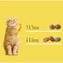 Сухой корм Friskies для стерилизованных кошек и кастрированных котов с лососем и овощами 10 кг (7613033205064): Возраст Взрослые