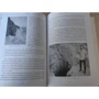 Крис Нонтон: В поисках гробниц Древнего Египта: ISBN 978-5-00146-651-2
