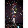 CHAUVET FRC - Funfetti Shot™ Refill Color: Габарити, мм 235x130x4