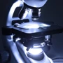 Микроскоп Optika B-292PL 40x-1000x Bino (920740): Количество объективов На 4 объектива