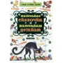 Маленькие сказочки маленьким деткам