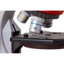 Микроскоп Bresser Junior 40x-640x Red с набором для опытов и адаптером для смартфона (8851300E8G000) фото 10