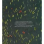 Оксана Думанська: Сказка про дивовижну яблуню: ISBN 978-617-8023-82-9