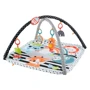 Килимок-ігровий центр 3-в-1 Fisher-Price Веселі розваги (HBP41)