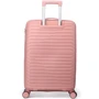 Чемодан Semi Line 20" (S) Rose (T5779-1): Тип Чемоданы