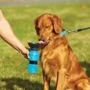 Поїлка для собак Fox Aqua Dog дорожня 550 мл (GR-01): Тип Поилки