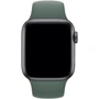 Аксесуар для Watch Apple Sport Band Pine Green (MWUR2) for Apple Watch 38/40/41mm: Сумісність Apple Watch 41mm, Apple Watch 38mm, Apple Watch 40mm