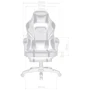 GT Racer X-2749-1 Dark Brown / White фото 1