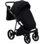 Коляска 2 в 1 Adamex Belissa Special Edidion (Chrome) PS-570: Пол ребенка Унисекс