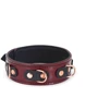 Ошейник с поводком Liebe Seele Wine Red Collar and Leash