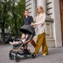 Прогулянкова коляска Chicco Goody Primo (87069.72) (8058664175871) фото 7