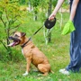 Поводок-рулетка для собак WAUDOG R-leash с контейнером для пакетов L черный до 40 кг 5 м (26291) фото 6
