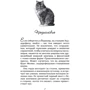 Феликс с железной дороги: Жанр Современная проза