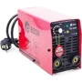 Сварочный аппарат EDON TB-300P (1018251): Тип инвертор