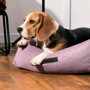 Лежак Pet Fashion BOND №2 78х60х20 см ліловий (4823082424078): Тип Лежак