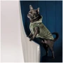 Жилет для собак Pet Fashion LOUIS L (4823082427499): Размер животного Средние