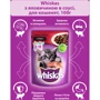 Влажный корм для котят Whiskas с говядиной в соусе 100 г (5900951253607): Вес упаковки 100 г