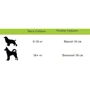 Іграшка для собак Jolly Pets Тверде яйце Jolly egg 30 см фіолетова (JE12P): Виробник Jolly Pets