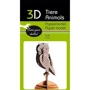 Сова Owl Fridolin 3D модель: Вид Флора і фауна