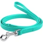 Поводок WAUDOG Glamour 18 мм 122 см ментоловый (337313)