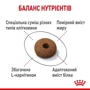 Сухой корм Royal Canin Sterilised Appetite Control для стерилизованных котов 3.5 кг (2563035): Класс Супер премиум