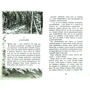 Відчайдушний. Книга 1. Камінь у плоті: Виробник Махаон