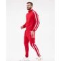 Спортивный костюм ISSA PLUS SG-14 48 красный: Вид Спортивные костюмы