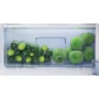 Холодильник Beko RDNT231I30XBN: Размеры 145x54x60 см (ВxШxГ)