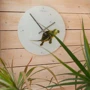 Настінний годинник NeXtime Черепаха 43 см (8137): Виробник NeXtime