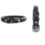 Женский ремень The Wings черный (TW-Belt-15-black): Страна производитель Украина