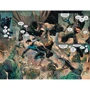Том Кинг: Вселенная DC. Rebirth. Бэтмен. Книга 7. Холодные дни: Автор Том Кинг