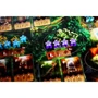 Настольная игра Woodcat Кецаль (Quetzal від Gigamic) УКР: Вид стратегические