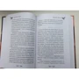 Дмитрий Емец: Первый эйдос (#8): ISBN 978-5-699-97371-2