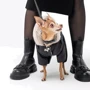 Комбинезон для собак Pet Fashion BLACK XXS (4823082428601): Размер животного Маленькие
