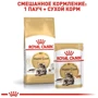 Влажный корм для котов Royal CanIn Maine Coon породы Мейн-кун 85 г (2031001): Класс Супер премиум