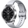 Смарт-часы Xiaomi Watch S3 Silver (Global): Дисплей 1.43" AMOLED (466x466) / 326 PPI