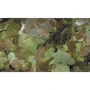 Корм для травоядных рыб Dajana Flora со спирулиной в хлопьях 5 л 1 кг (DP006F (5269)): Вид корма Хлопья