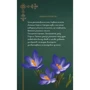 Щоденник Мавки. Осінь: Кількість сторінок 192