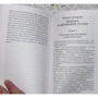 Психология народов и масс: Количество страниц 384