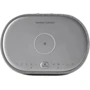 Акустика Harman/Kardon Citation Oasis FM Grey (HKCITAOASISFMGRYEP): Звуковая система 2.0