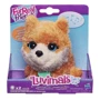 Інтерактивна іграшка Hasbro, Furreal Friends Співаючі звірята - Щеня (B0698-2) фото 1
