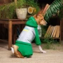 Костюм для собак Pet Fashion LEAF зелений XS-2 (4823082431458): Тип Комбинезоны