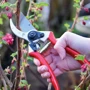 Обходной секатор Spear & Jackson Razorsharp PRO 6659BS/13: Максимальный диаметр среза, мм 20