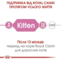Сухий корм Royal Canin Kitten для кошенят 4 кг (2522040): Вага упаковки 4 кг