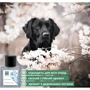 Духи для собак DANDY DOG 50 мл (54103MFP029276) фото 1