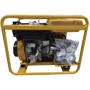 Дизельный генератор Daishin RGD5500S: Тип электростанции дизельный