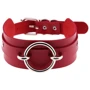 Чокер-ошейник SKN-AS18 RED Silver