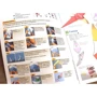 KUMON: 3D поделки из бумаги. Трицератопс и птеранодон фото 9