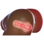 Мастурбатор с очками для виртуальной реальности CyberSkin Twerking Butt (Deluxe)