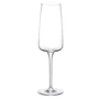 Келих Bormioli Rocco Nexo Flute для шампанського 6х240 мл (365752GRC021462)